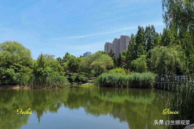 影记 | 青岛李沧文化公园掠影