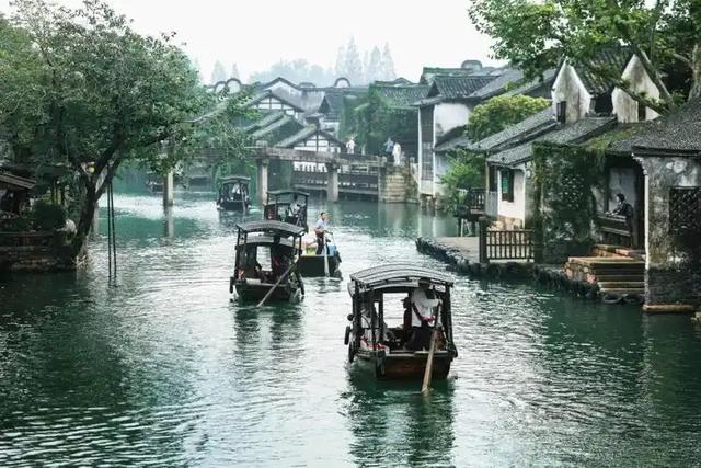流量密码进化史：从影视IP到“文化+互联网”的破圈