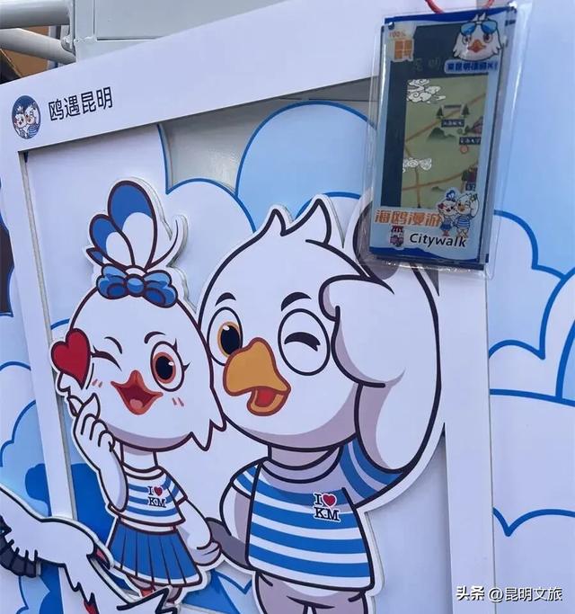 跟着滇超游昆明 | “鸥”然心动!打卡日记已备好,观鸥季精彩继续~