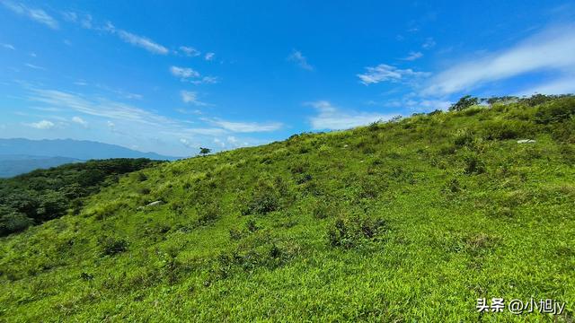 两次本溪南岭徒步记｜高山草甸，湖池松林，我被南岭种草