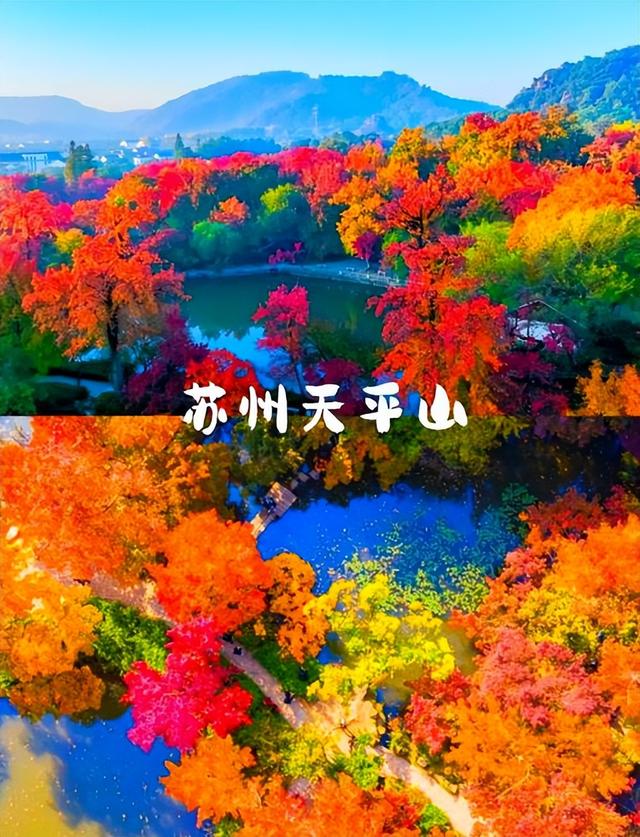 中国最知名的四大红叶观赏胜地：层林尽染，美不胜收