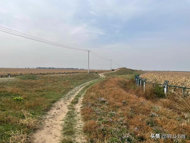 呼和浩特市托克托县田野考察笔记