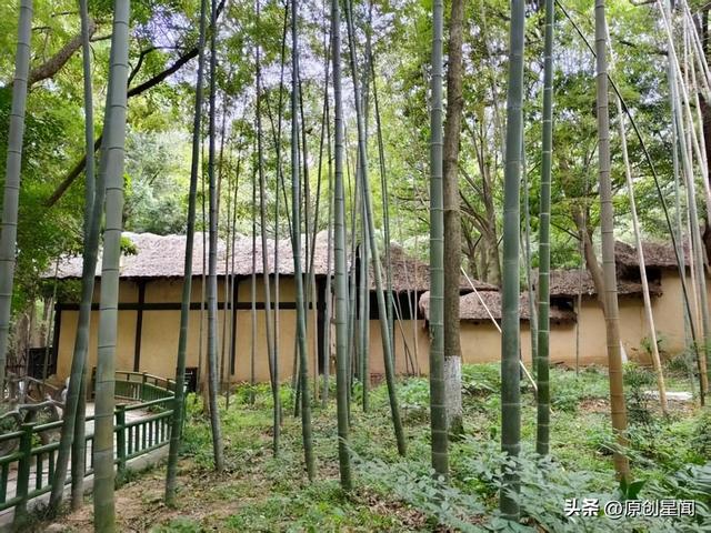 古城襄阳的新期许：我的亲情牵挂与慰藉之旅