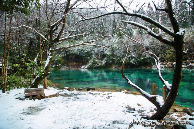 霜染西黄山，新岁诗意浓