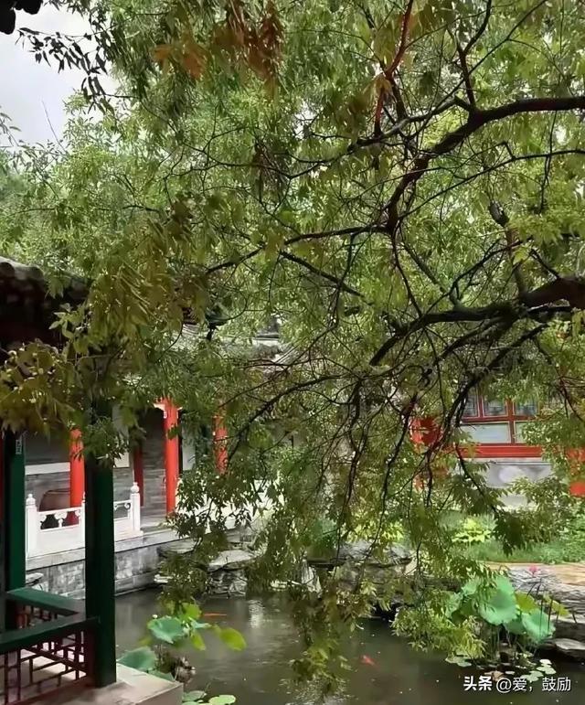 李湘在平台晒自家北京小院，大到让网友以为是景区，真的太有钱了
