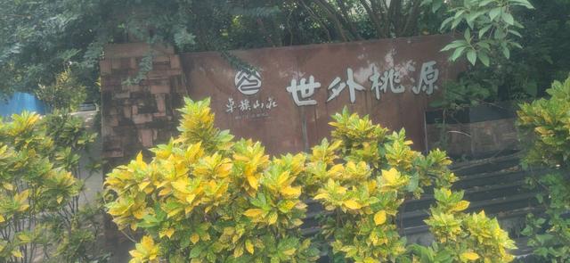 中山市卓旗山庄及大信新都会古镇店两景区，被取消国家3A级景区！