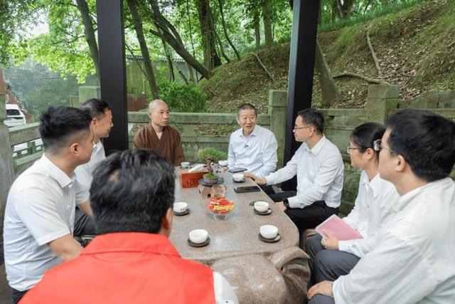 秦岭深山千年传奇：1500岁银杏见证历史，如今和他们达成守护契约
