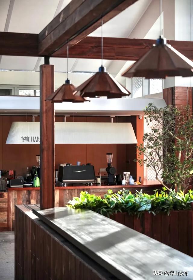 “都市栗人” 指南：坪山寻景品咖、暖过秋冬