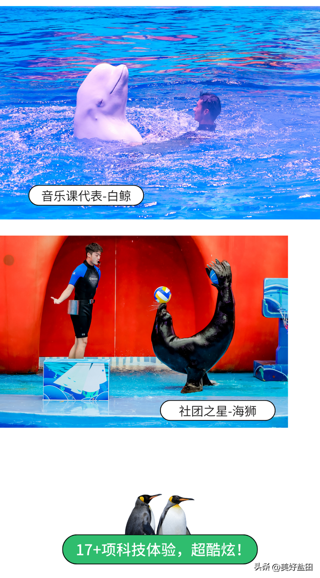 连续七天，教师免票！