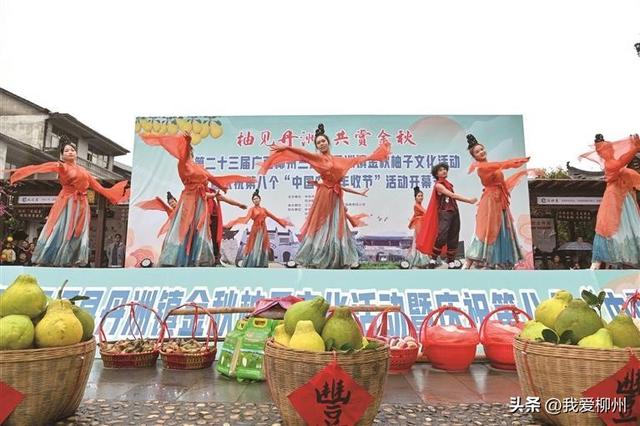 柚香润古城 漫卷文旅风——三江侗族自治县丹洲镇柚子文化活动见闻