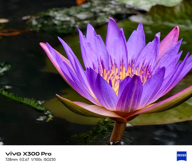 全场景拍照清晰，vivo X300 Pro影像测评分享