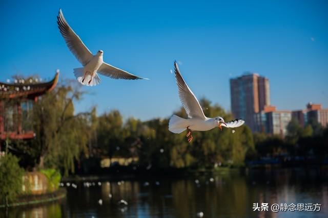 我是河南人，去了趟昆明发现：昆明人跟其他地方的人还真不一样