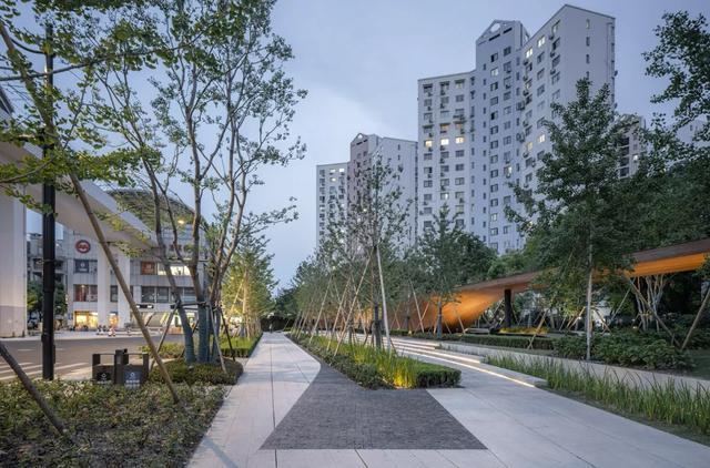 上海人厉害了！比“纽约中央公园”更好的公园，在上海出现了！