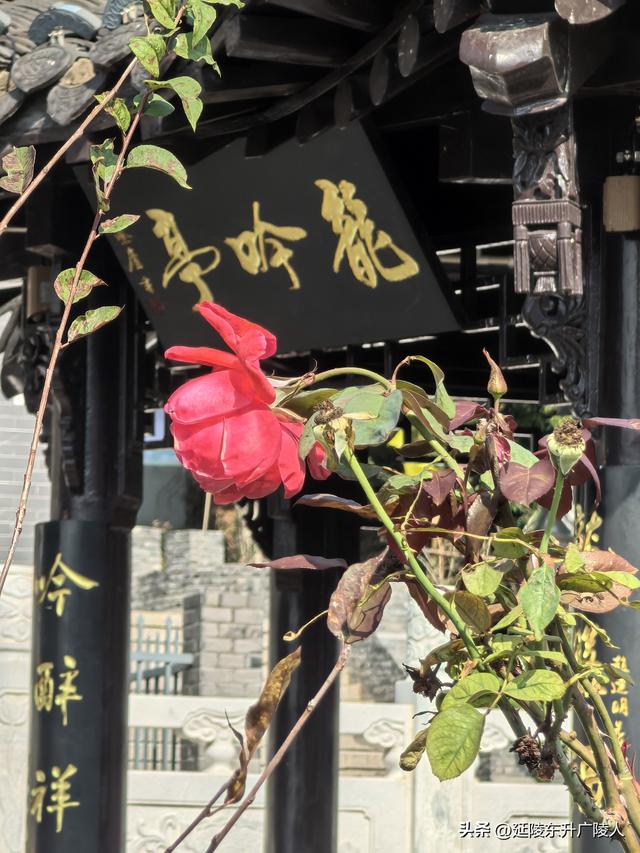 重阳登高丹阳黄连山 齐梁半壁基业地 北顾大江秋水情