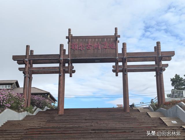 游览亚洲最大的额尔古纳湿地，分享恩和住宿（14）
