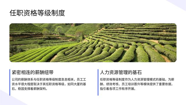 总经理离职了，看他做的薪酬管理方案，老板：人才啊