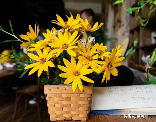 两性关系	，68女人大实话，男人过了70岁，只剩下两个用处