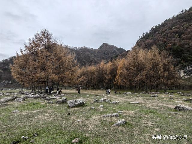 秦岭狮子沟牧场&牛奶湖