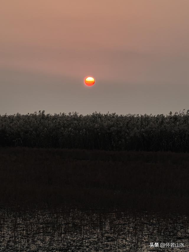 2025辽宁赏秋之旅日记(6)——到辽河口中国最北海岸线看日出 观鸟