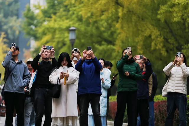 地坛银杏文化节明日开逛!秋日“赶集”天花板来啦→