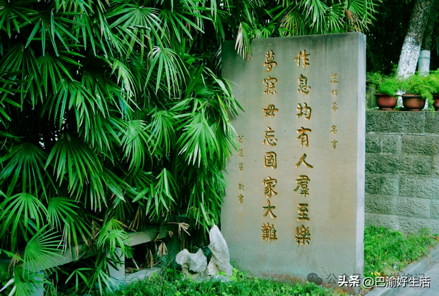 北碚公园竟是"大熊猫"命名地，原来藏着这么多秘密