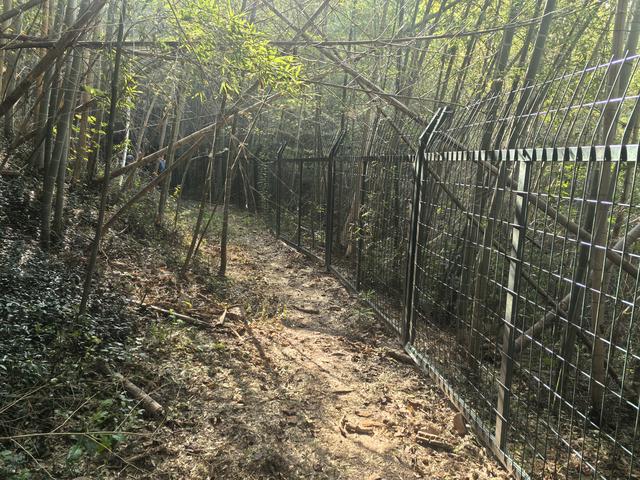 南京龙尚湖，大连山，佘村一日郊野徒步