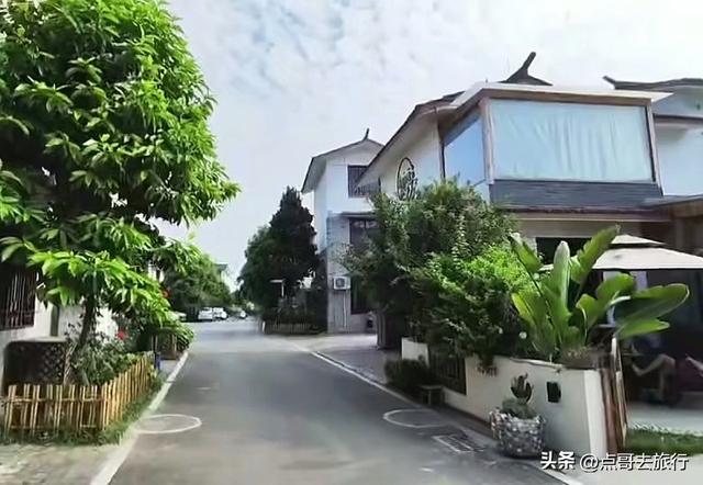 成都周边稻海秘境，超级惊艳，被严重低估，地铁公交车可直达！