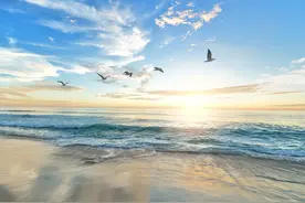 宣讲家文稿：国际形势总体特点与中国特色大国外交图片