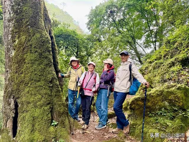 徒步武定香水箐,赏野草香飘、听溪流淙淙,徜徉绿水青山中,惬意