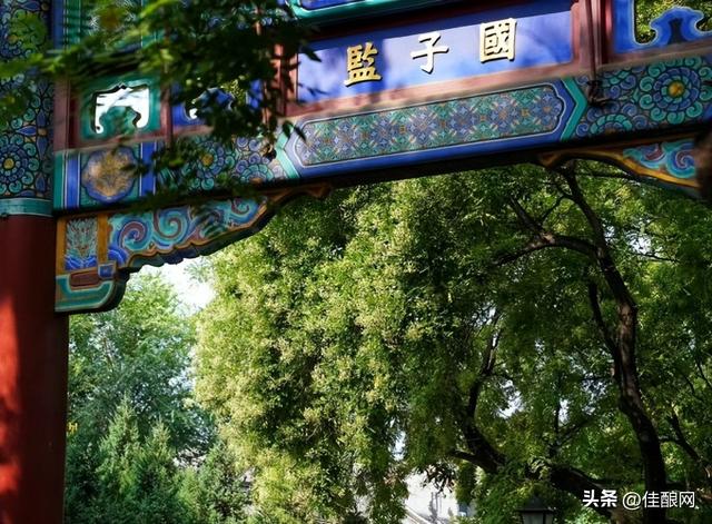 黄河右岸，槐海深处有清香
