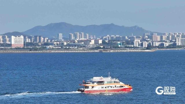 青岛“海上穿越大桥”航线火爆出圈，总销售额突破百万元