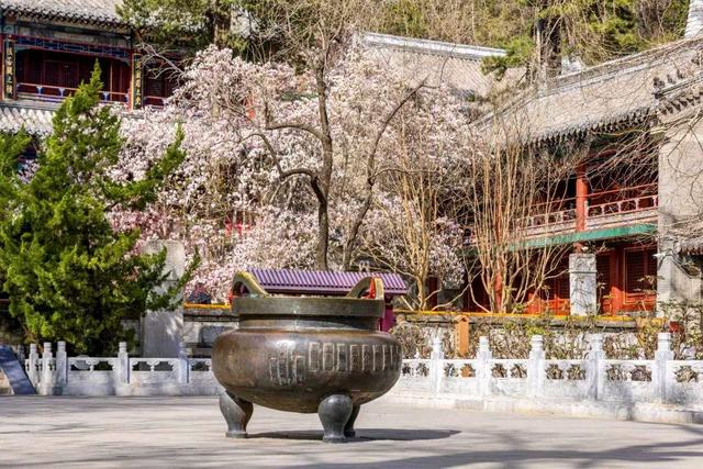 潭柘寺：武警24小时守护的千年古刹，秘密何在？