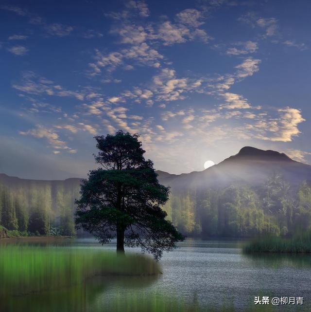 泰戈尔诗选最美的十首诗，一生一定要读一次，总有一句戳中你的心