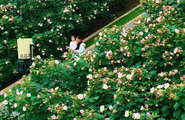 宜昌最被低估的秋景，一眼封神