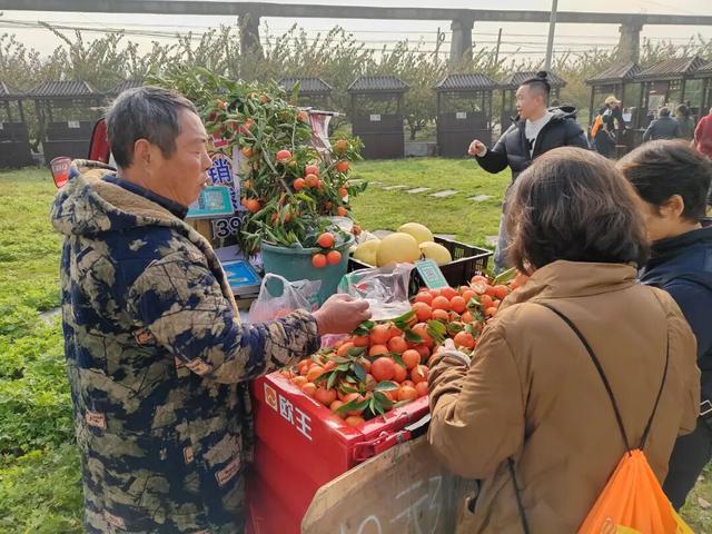 有意义！这场暖心徒步，金堂人踊跃参与……