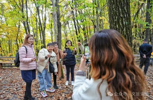 长白山第一村：赴一场秋日“参”宴