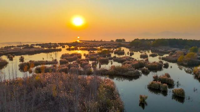 初冬东平湖，最是诗意时
