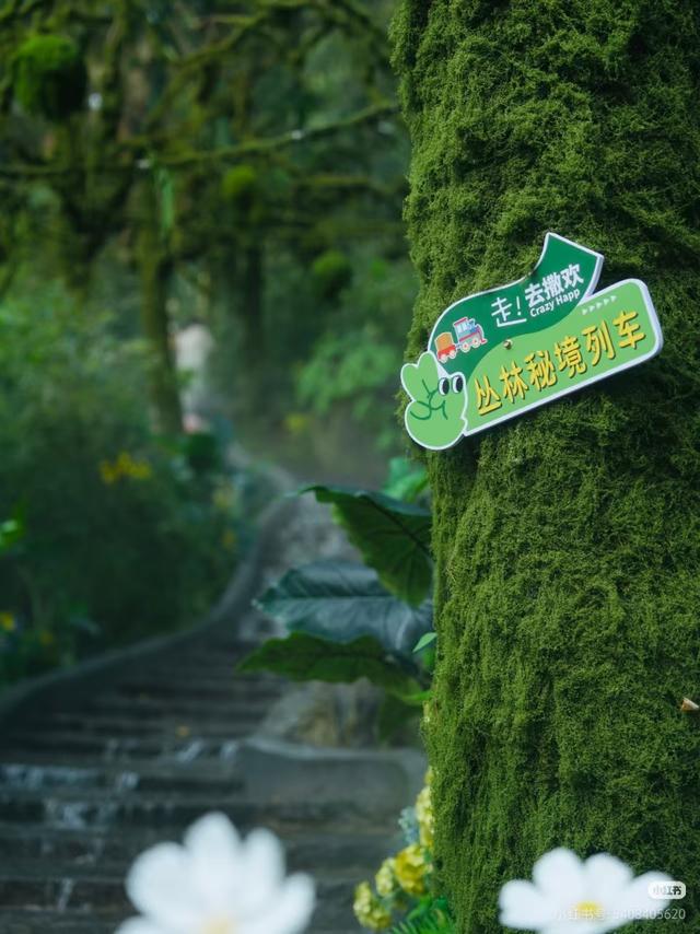 惊！临沂这处景点免门票，多省游客+刀郎演唱会观众可享