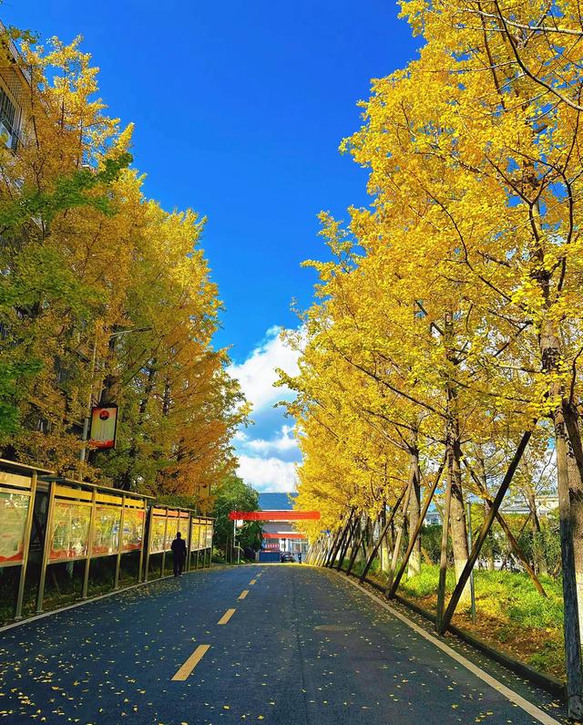 请再欣赏一下这最美的秋天