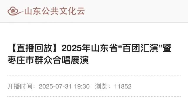 枣庄市文化馆2025年度精彩时刻(四)以文塑旅促融合 荣誉见证显担当