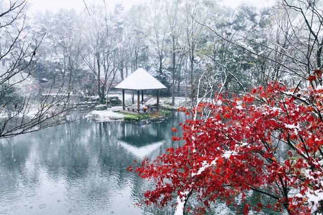 明月山惊现冰瀑雾凇，已经开始期待下雪了！