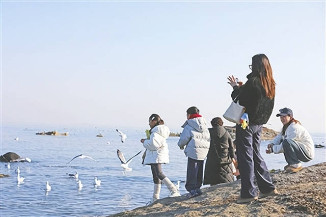 “冬游青岛”为市民游客送上“城市礼物”！2025年冬游青岛系列活动启动 持续至明年2月