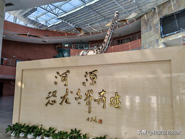 来河源才知道河源是中国恐龙之乡，挖掘出的恐龙蛋超级多