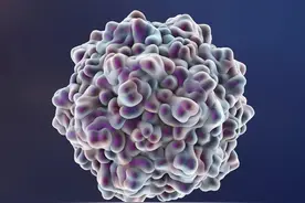 儿童博卡病毒感染常见有什么症状？哪些人群特别要注意。图片