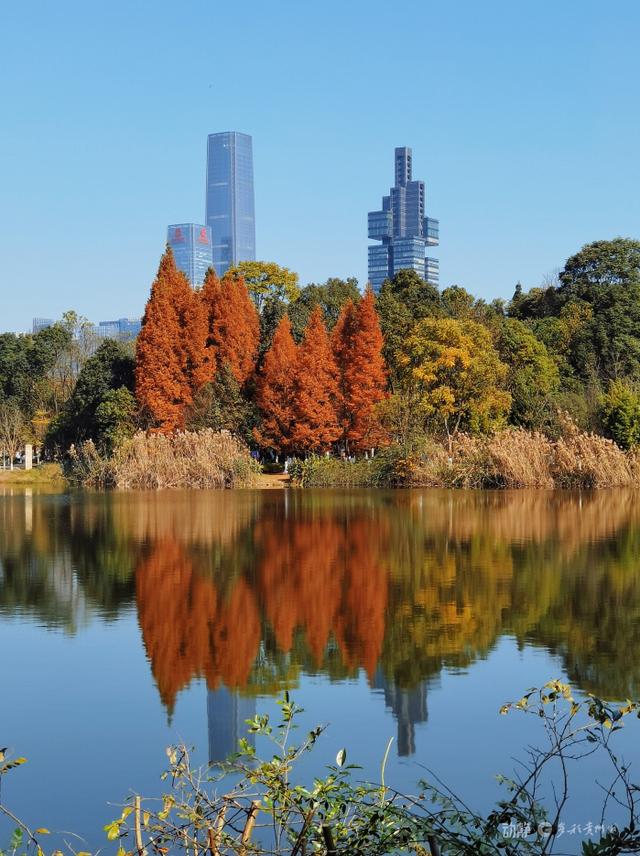 冬日暖阳下，打卡贵阳观山湖公园的绝美风景