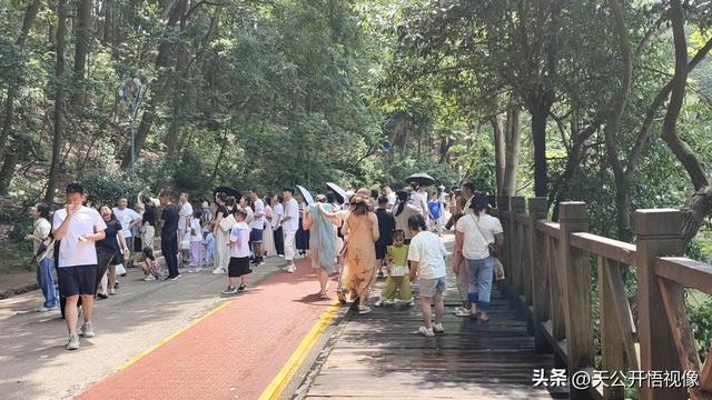 贵阳人与避暑客，贵阳黔灵山公园里的热闹与体谅