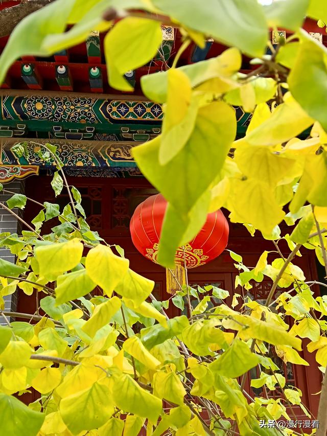 又到鹿泉十方院