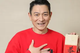 全民偶像刘德华 18大身份信息简历！图片