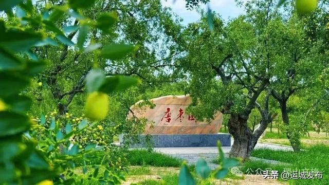 9月，相约运城！超全游玩攻略奉上