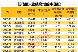 低估值高增长的中药股揭秘图片